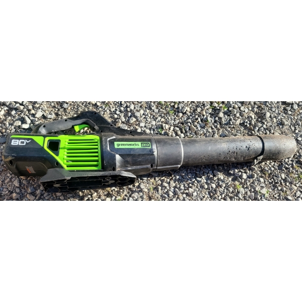 Greenworks Pro Leaf Blower - Customer Return