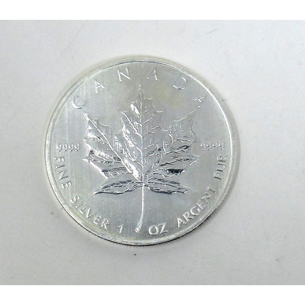 1 Oz .9999 Silver 2013 Canada Maple Leaf Coin 