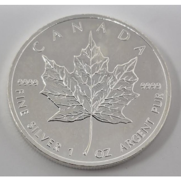 1 Oz .9999 Silver 2013 Canada Maple Leaf Coin 