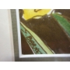 Image 3 : Original S. Barnet Ink & Watercolour Painting 