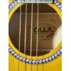 Image 3 : GWL George Washburn Limited Guitar