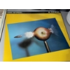 Image 48 : 75 Mixed Records