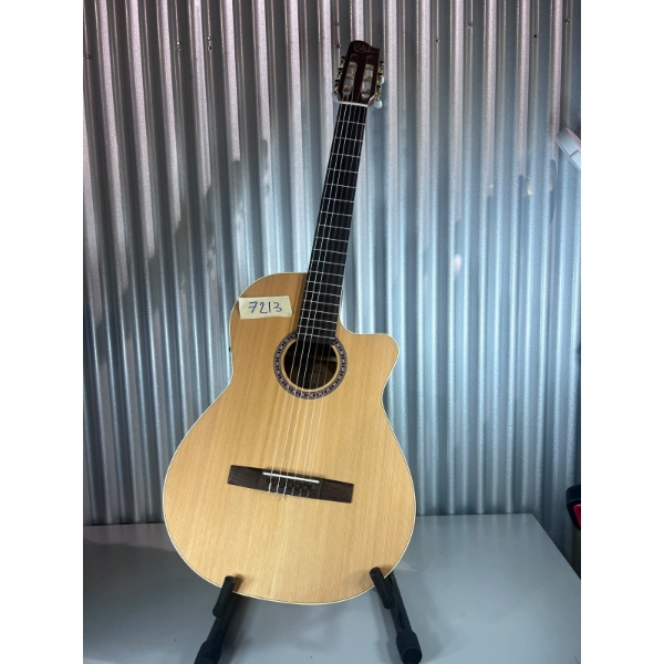 Godwin clasical guitar with stand and case