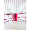 Image 1 : Budweiser 24's x 2 