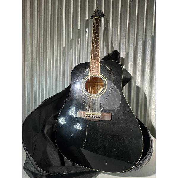 Samich Guitar Black D-1/BK