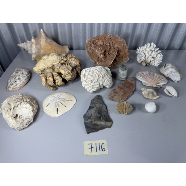 Mixed Rock and Ocean collection