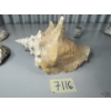 Image 11 : Mixed Rock and Ocean collection