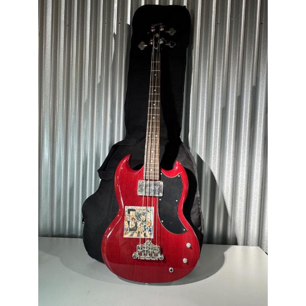 Epiphone Bass Guitar needs repair