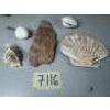Image 5 : Mixed Rock and Ocean collection