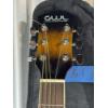 Image 4 : GWL George Washburn Limited Guitar