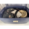Image 1 : Carpet tools and knee pad bundle