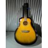 Image 1 : GWL George Washburn Limited Guitar