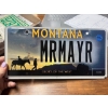 Image 1 : MONTANA LICENCE PLATE