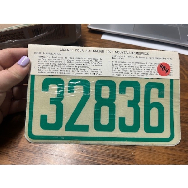SKI-DOO GREEN 1973 LICENCE PLATE