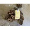 Image 1 : APPROX. 10 FT 7/16 INCH CHAIN