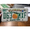Image 1 : FLORIDA LICENCE PLATE