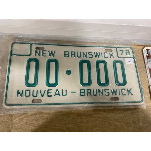 SAMPLE LICENSE PLATES