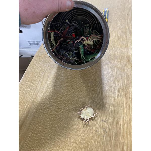 BUCKET OF PLASTIC PLAY INSECTS 