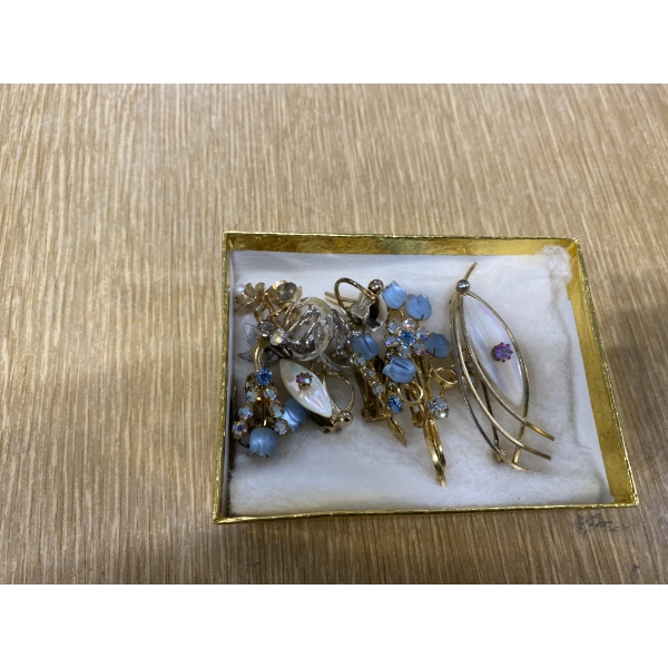 WOMENS ASSORTED PINS AND EARRINGS 