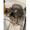 Image 1 : SADDLE