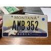 Image 1 : MONTANA LICENCE PLATE