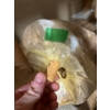 Image 1 : BAG OF WINE CORKS