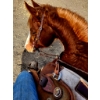 Image 1 : Ashley McKenzie - Grade Quarter Horse mare. Kids Horse