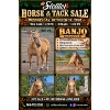 Image 3 : Ashley McKenzie - 20-year-old palomino gelding.  