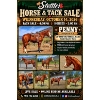 Image 4 : Ashley McKenzie - Grade Quarter Horse mare. Kids Horse