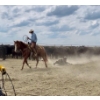 Image 1 : Jody Anderson - 5yr old Sorrel AQHA, Naeric & Superstakes Gelding