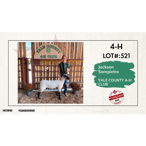 4-H Sheep - Jackson Sampietro - Yale County 4-H Club