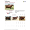 Image 6 : Fox Cattle Co. - 50 Black Angus/Simm X A.I. December Delivery Bred Heifers (Foam Lake, SK)