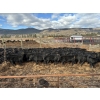 Image 1 : Nicola Ranch - 600# November Delivery Steer Calves - 310 Head (Merritt, BC) VBP+