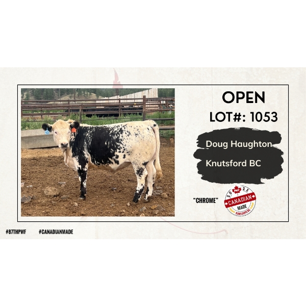 Open Beef Carcass - Doug Haughton - Knutsford, BC