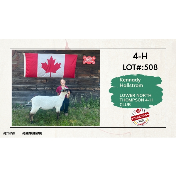 4-H Sheep - Kennady Hallstrom - Lower North Thompson 4-H Club