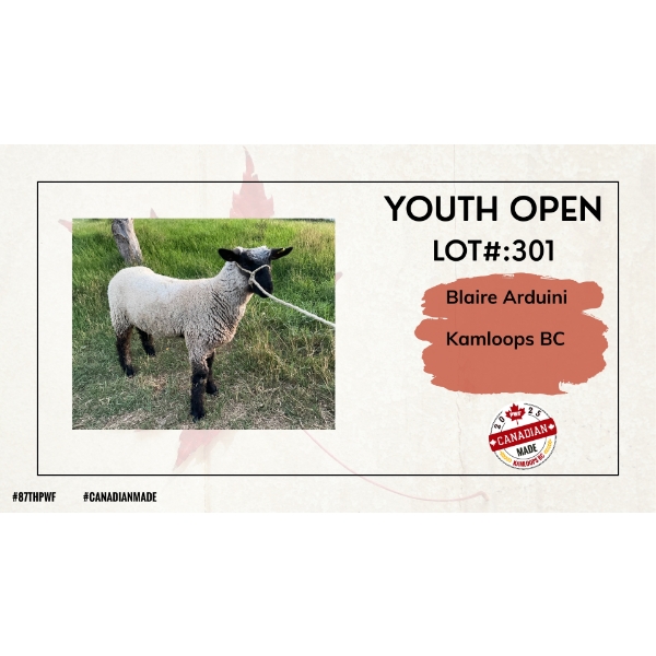 Youth Open Sheep - Blaire Arduini - Kamloops, BC