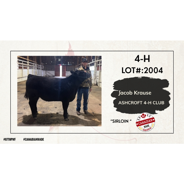 4-H Beef - Jacob Krause - Sirloin - Ashcroft 4-H Club