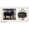 Image 1 : 4-H Beef - Jacob Krause - Sirloin - Ashcroft 4-H Club