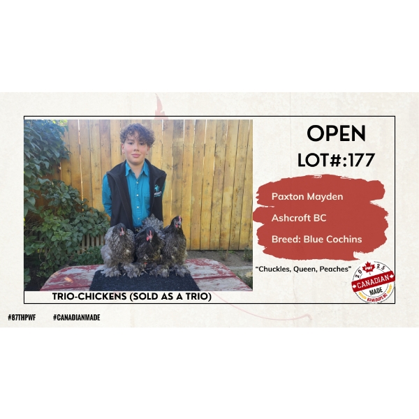 Open Poultry - Paxton Mayden - Ashcroft, BC