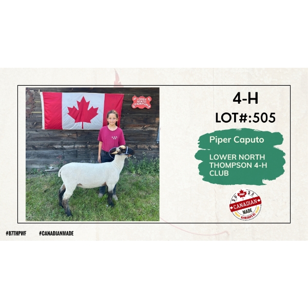 4-H Sheep - Piper Caputo - Lower North Thompson 4-H Club