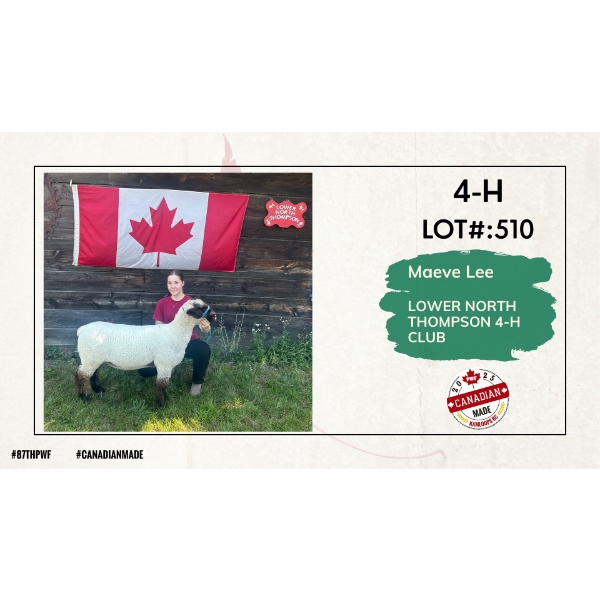 4-H Sheep - Maeve Lee - Lower North Thompson 4-H Club