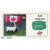 Image 1 : 4-H Sheep - Maeve Lee - Lower North Thompson 4-H Club