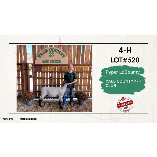 4-H Sheep - Pyper LaBounty - Yale County 4-H Club