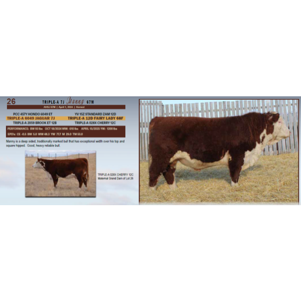 Triple-A 7J Manny 67M