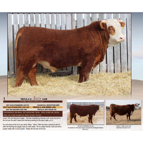 Triple-A 3J Marty 106M 