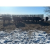 Image 3 : Chris Bartel - 890# March Delivery Steers - 68 Head (Fort Vermilion, AB)