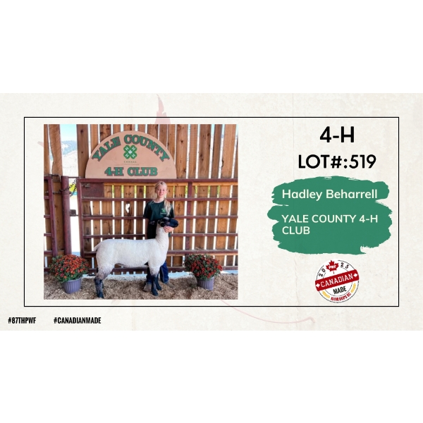 4-H Sheep - Hadley Beharrell - Yale County 4-H Club