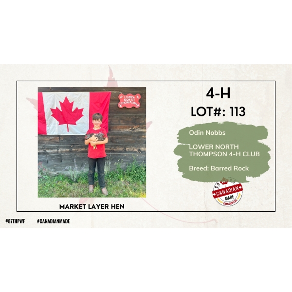 4-H Poultry - Odin Nobbs - Lower North Thompson 4-H Club