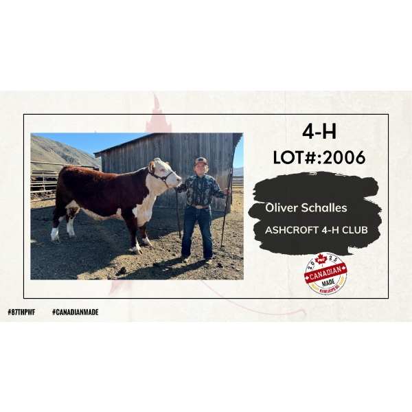 4-H Beef - Oliver Schalles - Ashcroft 4-H Club