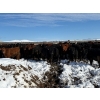 Image 6 : Antelope Butte Ranch - 744# March Delivery Steers - 82 Head (Lundbreck, AB) VBP+
